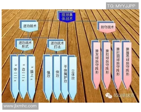 南京排球队节奏对比分析透视球队风格与战术演变 南京排球队节奏对比分析透视球队风格与战术演变