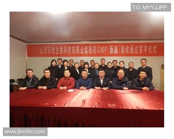 深圳排球队的崛起之路联合会杯背后的奋斗与荣耀 深圳排球队的崛起之路联合会杯背后的奋斗与荣耀